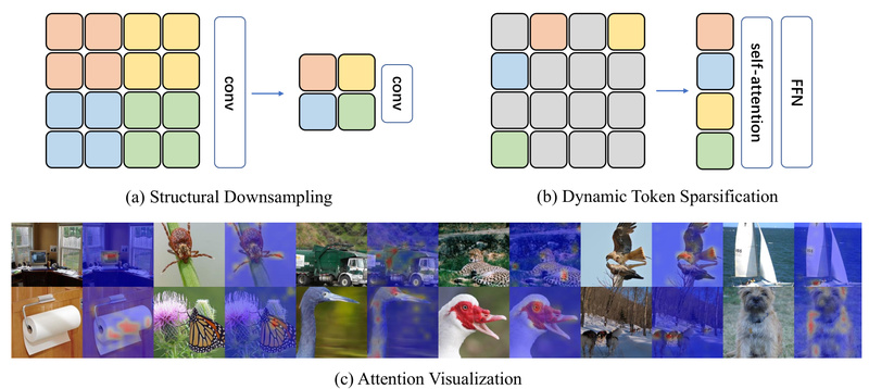 DynamicViT: Slash Vision Transformer Compute by 30% Without Sacrificing Accuracy